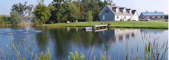 Pond and house at RELATE2ANIMALS